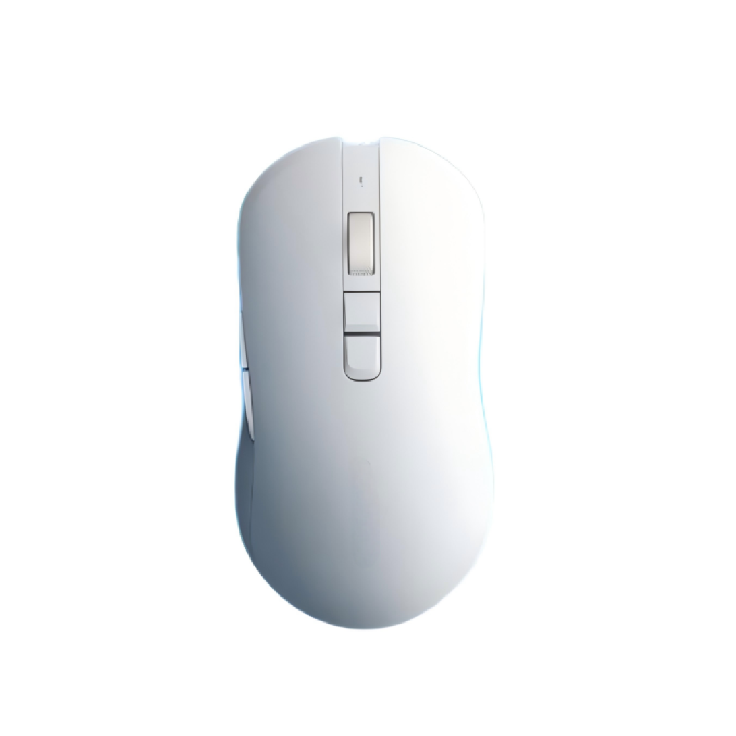 BogMouse B1